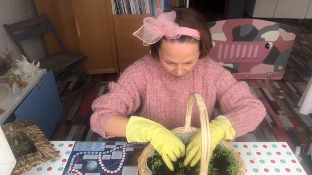 Сад на окне в плетёной корзине. смотреть онлайн