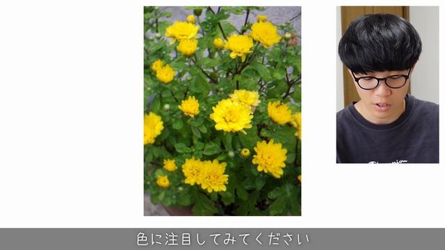 【オールドコンデジ】フィルムみたいな最高のコンデジ　FUJIFILM FinePix J150wの使い方と写真・動画の紹介~富士フイルム~ смотреть онлайн