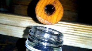 Давим масло из расторопши.