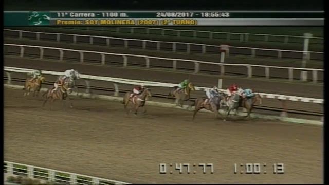 Carr.11 Premio: Soy Molinera (2007) (2° Turno) 24-08-2017 смотреть онлайн