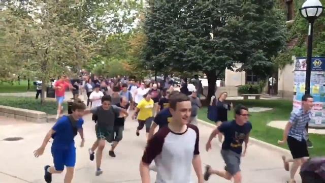 Animal Crossing is a Completely Normal Game... смотреть онлайн