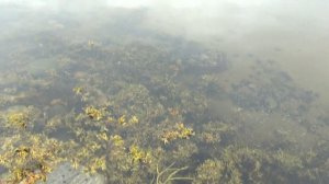 vatravel.ru  Губа Чупа (Белое море, п.Чупа, Карелия)