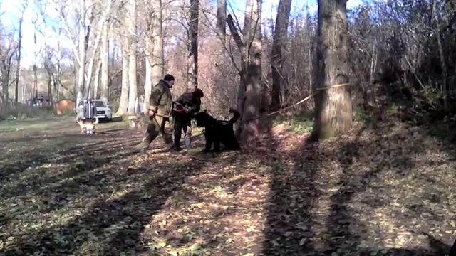 VID_20161025_132147 смотреть онлайн