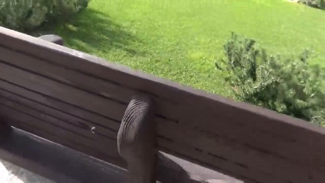 НЕОБЫЧНАЯ МЕБЕЛЬ )) 2ГОДА СПУСТЯ.