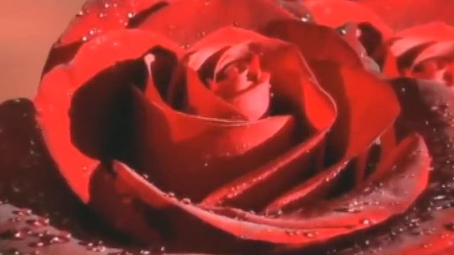Сознание порождает тип семьи смотреть онлайн