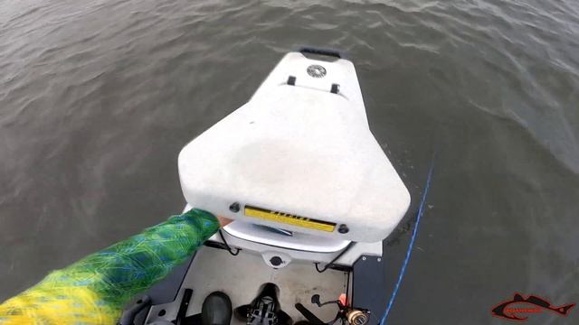 GULP SHRIMP WORKS! FISHING THE FLORIDA MARSH USING GULP SHRIMP! смотреть онлайн