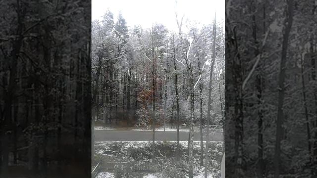 ЗИМНИЙ СТИХ смотреть онлайн