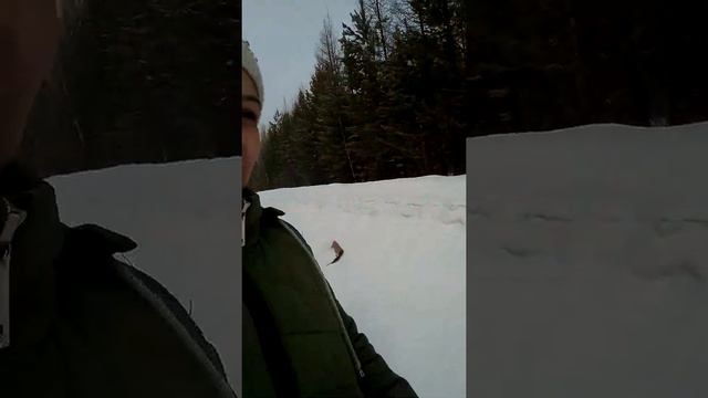 Я гуляю со своей собакой! смотреть онлайн