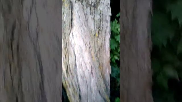 Перед началом этого ролика я прошу вас надеть наушники и включить громкость на всю. смотреть онлайн