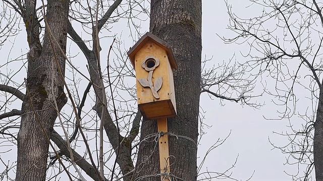Могилёв ПОДНИКОЛЬЕ смотреть онлайн
