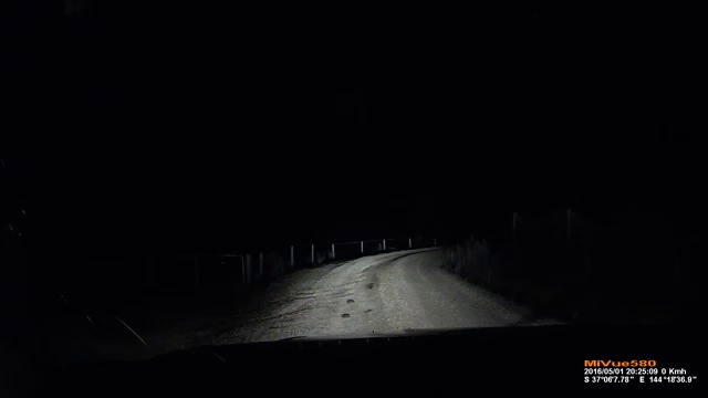 Кенгуру атаковал автомобиль смотреть онлайн