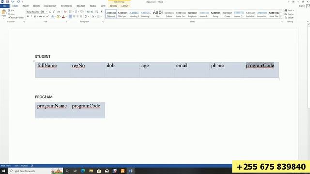 RELATIONAL DATABASE PROGRAMMING RELATIONAL SCHEMA PRACTICAL NO 10 PART 1 смотреть онлайн
