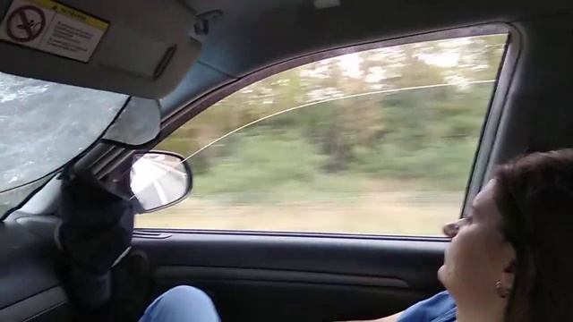 Автопилот для Ховера за 40000р смотреть онлайн