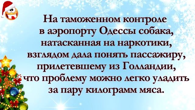 Украинская Деревня. Ночь. Анекдоты Онлайн! Короткие Приколы! Смех! Юмор! Позитив! смотреть онлайн