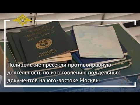 Ирина Волк: Пресечена противоправная деятельность по изготовлению поддельных документов смотреть онлайн
