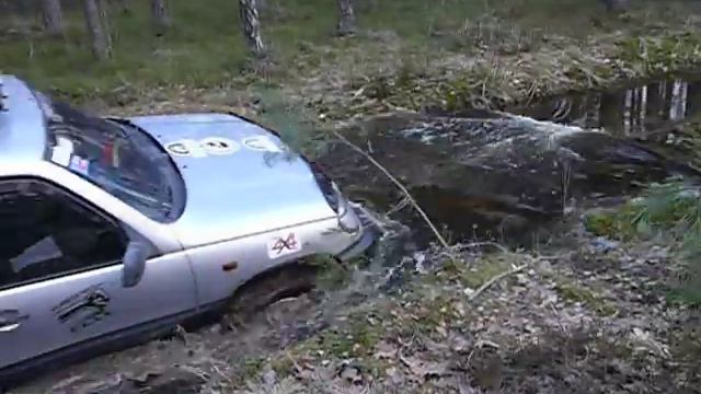 Лужица в Каменном селе смотреть онлайн