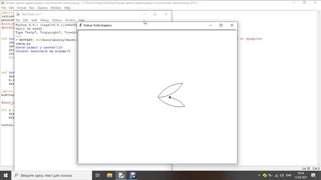 Рисуем цветок задаем радиус и количество лепестков на Python смотреть онлайн