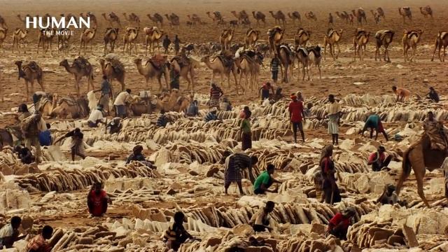 HUMAN's Musics   A Film By Yann Arthus Bertrand   Composed By Armand Amar