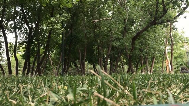 ?УТРЕННЯЯ МЕДИТАЦИЯ НА ЛУЧШИЙ ДЕНЬ!☀️ смотреть онлайн