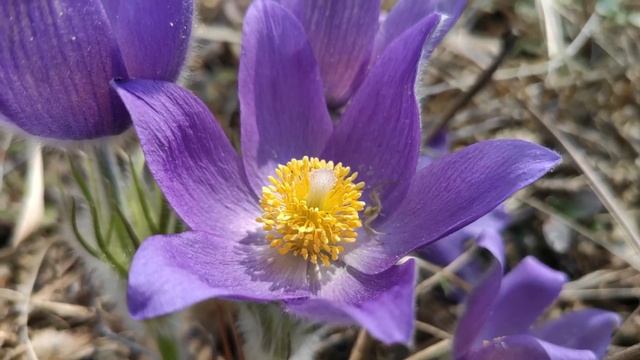 Музыкальные Каверы