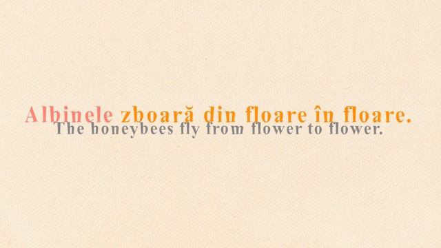 Romanian Spring Words | Definite Article Usage смотреть онлайн