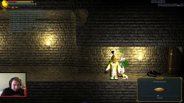 Fiddling with Items - Wazhack Modded смотреть онлайн