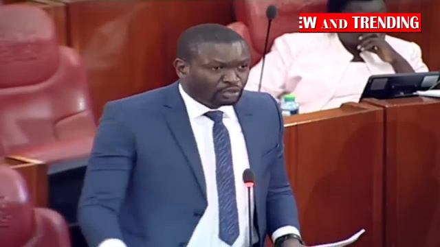NYAMAZA YOU ARE NOT MY TYPE! Watch how Senator Sifuna silenced Senator Hezena in Parliament! смотреть онлайн