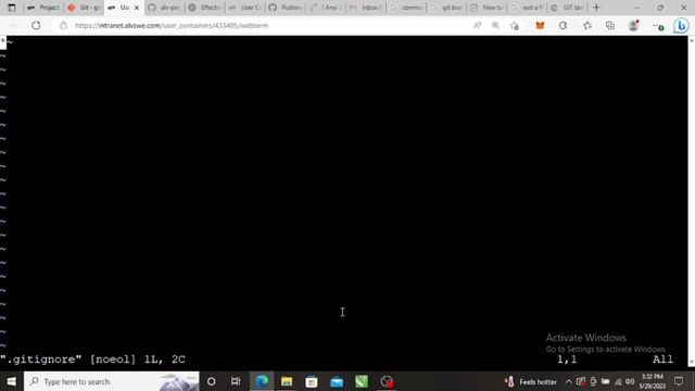 ALX: Never push too much (.GITIGNORE Task) смотреть онлайн