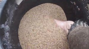 Посев многолетних трав.Новый эксперимент.