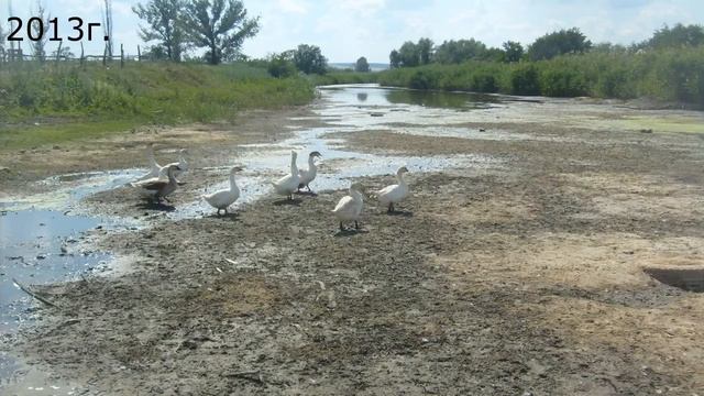 Печальная судьба реки Глубокая. смотреть онлайн