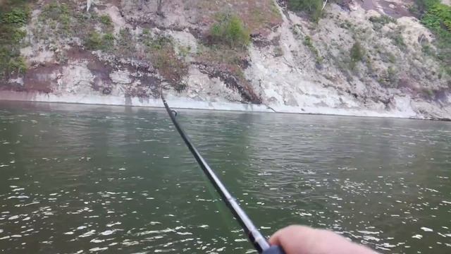 Сима, сима, кругом сима / Cherry Salmon everywhere смотреть онлайн