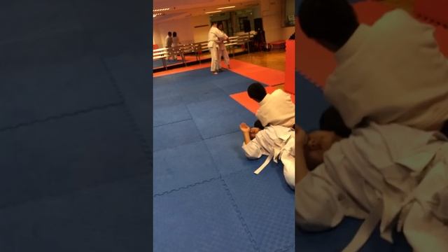 Aikido Applied: Sword Deflections for Strikes - Ude Garami ("Kimura") смотреть онлайн