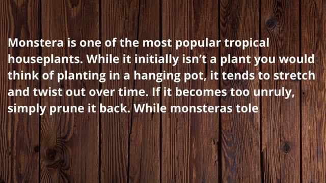 10 Best Low Light Indoor Hanging Plants / Hanging Houseplants / Indoor Hanging Plants For Low Light