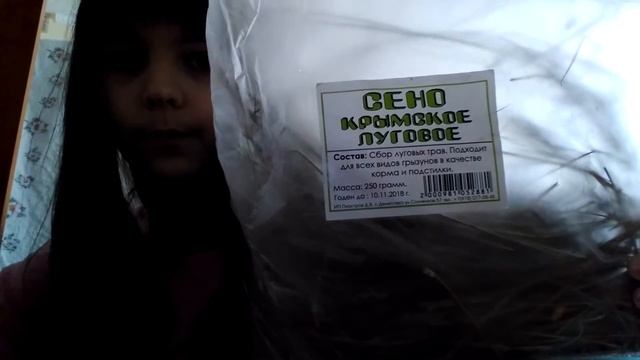 Что нужно для появления песчанки в доме смотреть онлайн