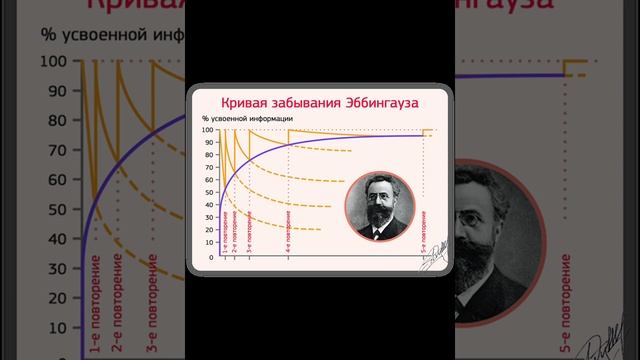 Кривая забывания Эббингауза смотреть онлайн