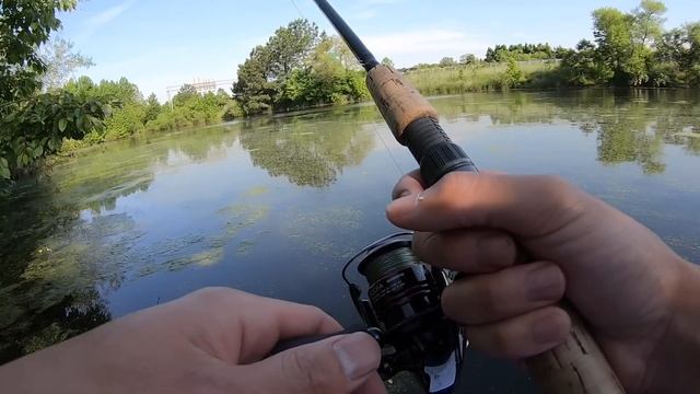 Fishing a HIDDEN Roadside Pond!!! (BIG FISH, PARASITES & LEECHES) смотреть онлайн