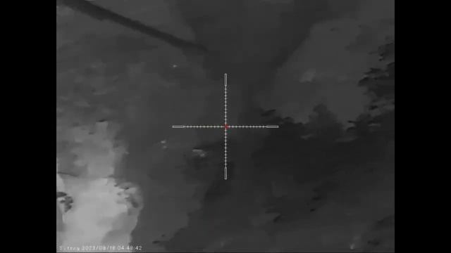 For winter hunting! Sytong AM Series thermal imaging scope смотреть онлайн