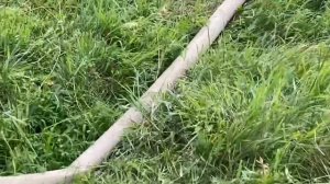 Работа дорожника ! Встретился с родным братом и Димкой )