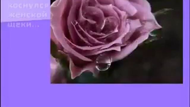 Женщина !!! Удивительное создание !!!! смотреть онлайн