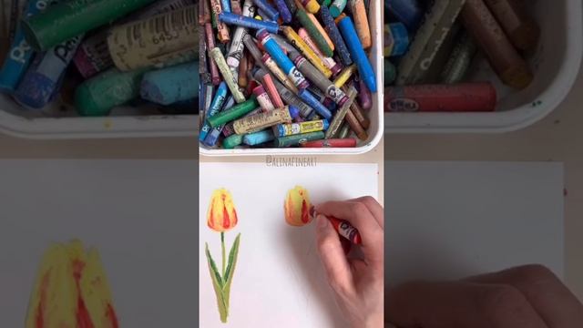 How to draw flowers in oil pastel. Tulips drawing process botanical art. смотреть онлайн
