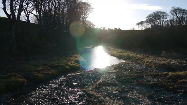 61 Meditation on Jeremiah 29:11-14 Psalm 103:1 Pray we answer God's call Pebbles River Mouth H MBL смотреть онлайн
