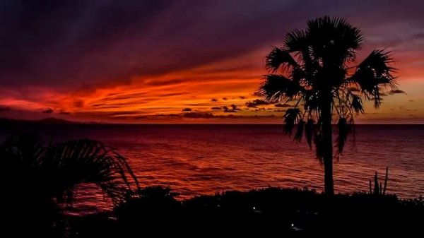 Sleep Music Video to Fall Asleep Naturally at Sunset!