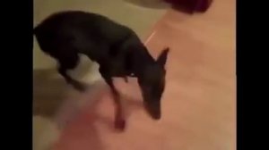 Собирайся, едем на дачу!!!!