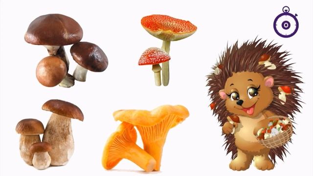 Лепка гриба из пластилина Презентация ИЗО смотреть онлайн