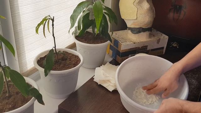 Как сделать массу папье маше смотреть онлайн