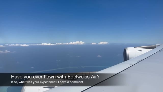 Edelweiss Air | Business Class from the Maldives to Zurich | Airbus A340 смотреть онлайн