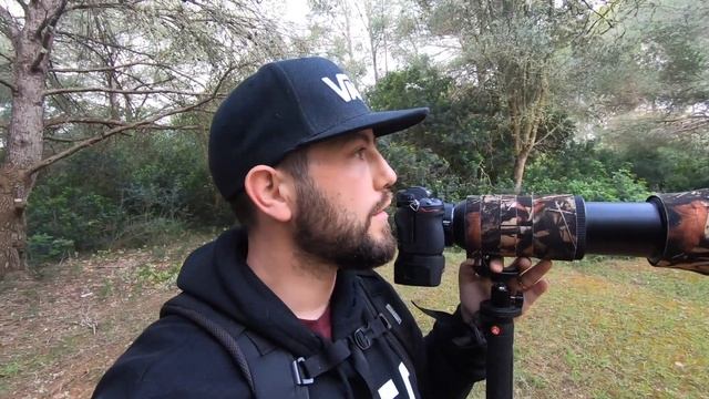 Bird Photography - Spotted Flycatcher with the Nikon Z6II смотреть онлайн