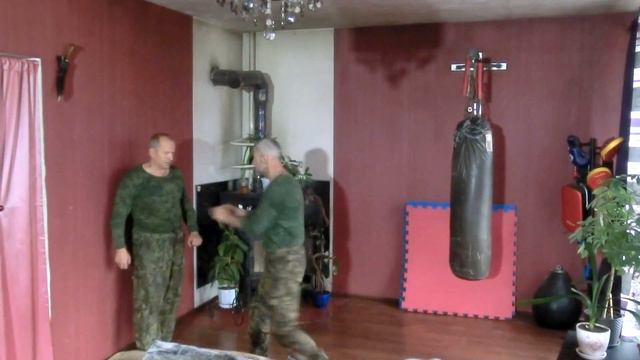 Universal combat system на базе смешанного стиля орла и змеи 24 смотреть онлайн