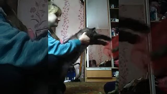 Свадьба провалена и у меня у гостях віта МАНГЛ w3 смотреть онлайн