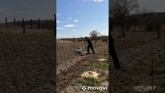 Мотоблок завелась но есть ошибки но главное работает смотреть онлайн